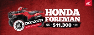 Honda Foreman TRX 500 FE1 - SPECIAL