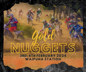 2024 Gold Nuggets